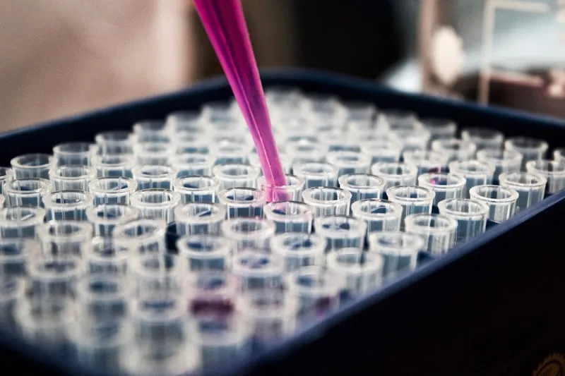 Laboratórios de Análises Clínicas